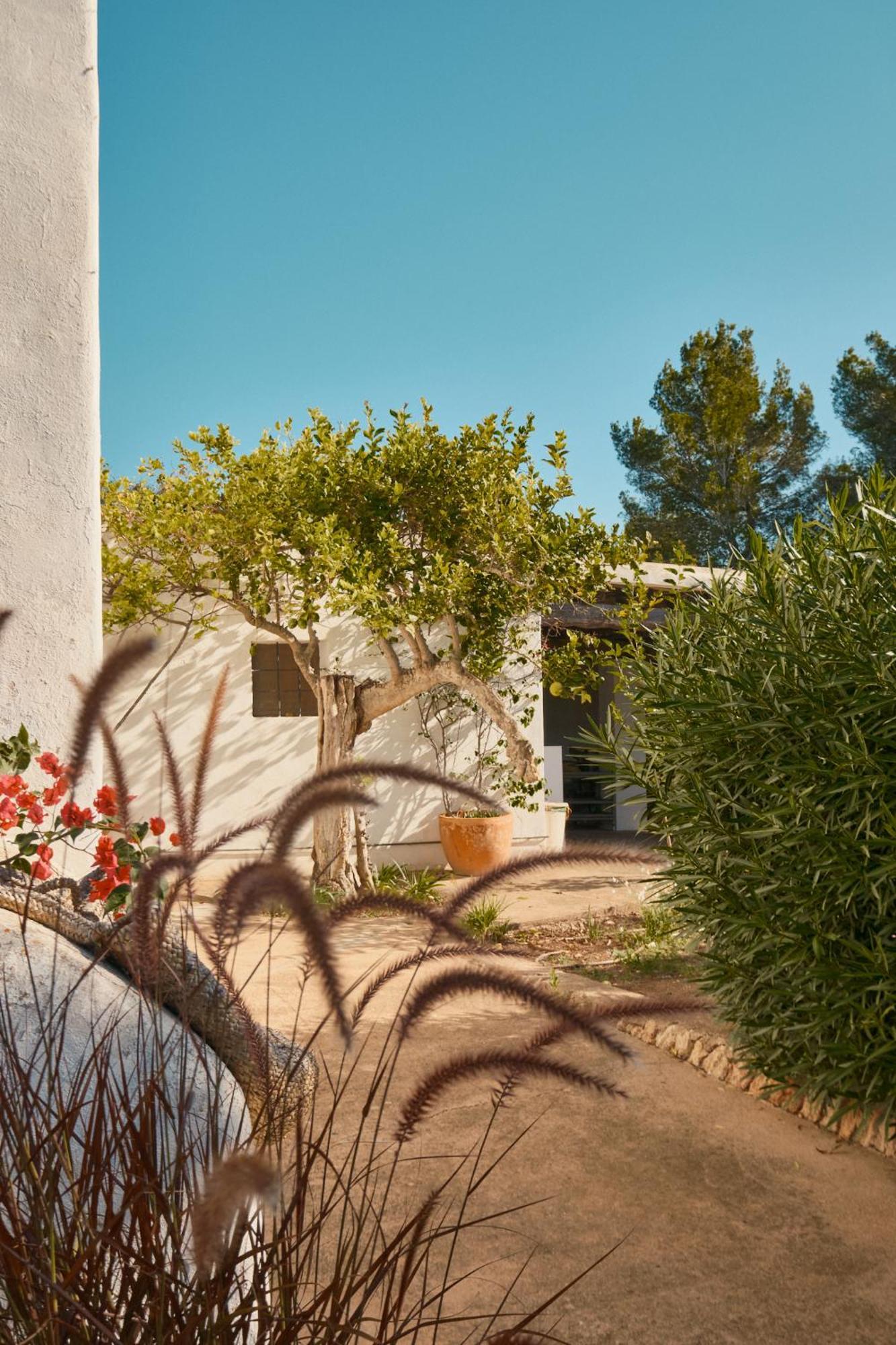Hotel The Guardian House Santa Gertrudis  Zewnętrze zdjęcie